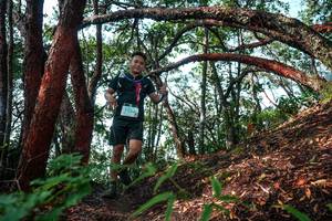 BIB: 
                            <button type="button" onclick="openModal(26345427)" class="btn btn-primary btn-sm float-right btn-popup" data-toggle="modal" data-target=".modal-high-quality">
                        <i class="fas fa-shopping-cart"></i> Add to Cart
                    </button>
                                            <button type="button" onclick="isThisMe(26345427, true)" class="btn btn-success btn-sm float-right btn-popup btn-isme hidden" data-toggle="tooltip" data-placement="bottom" title="นี่คือรูปของคุณใช่ไหม คลิกที่นี่เพื่อเอาเข้าอัลบั้ม">
                        <i class="fas fa-plus"></i> Add to album
                    </button>
                    <button type="button" onclick="isThisMe(26345427, false)" class="btn btn-warning btn-sm float-right btn-popup btn-isnotme hidden">
                        <i class="fas fa-ban"></i> Remove from album
                    </button>